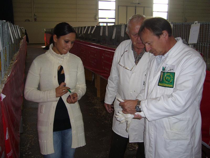 Muenster 2008 004.jpg - Die Preisrichter geben sich mühe um die Tiere richtig zu benoten